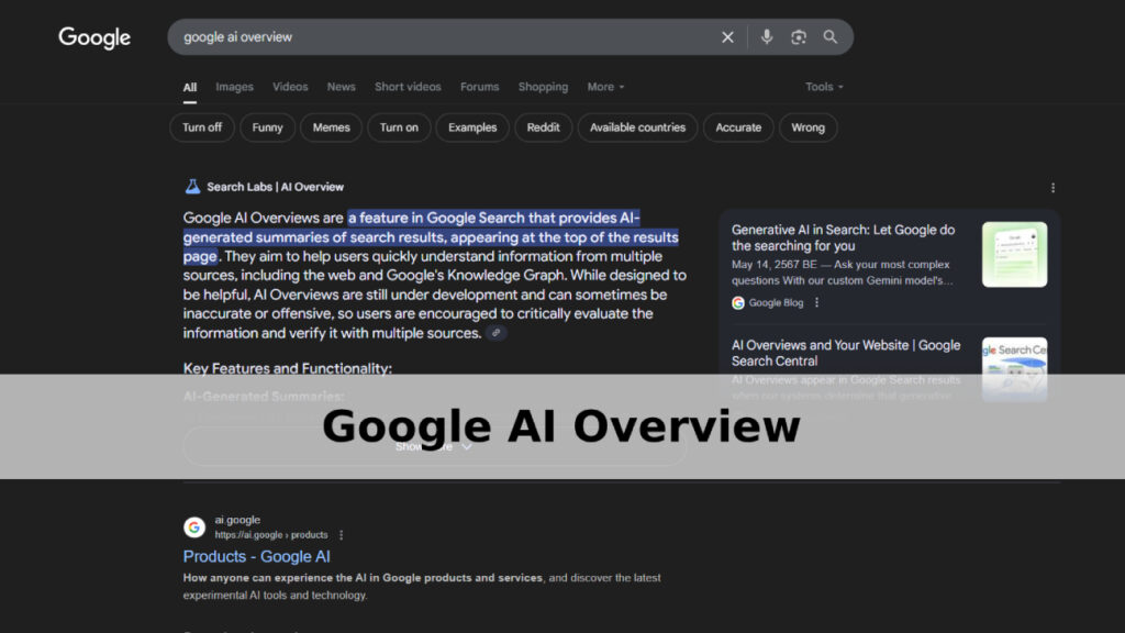 Google AI Overview