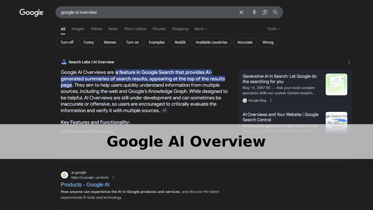 Google AI Overview